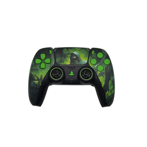 PS5 Custom Controller