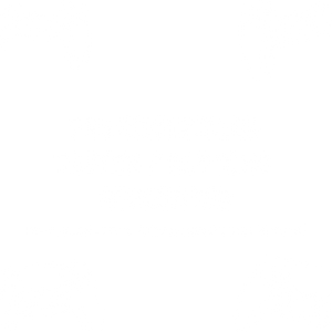 PS5 Controller Reparatur Tasten Buttons