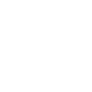 PS5 Controller Triggertasten Reparatur ( R1 / R2 / L1 / L2 )