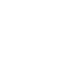 PS5 Controller Stick Drift Reparatur Umbau Hall Effect TMR Reparaturservice